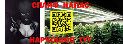 сатива Краснознаменск