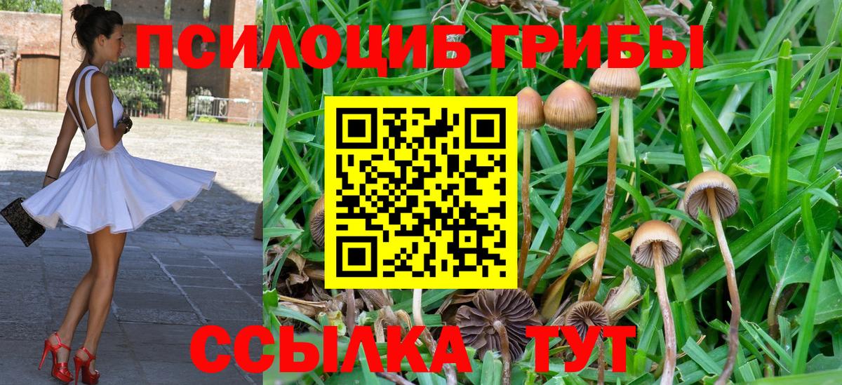Псилоцибиновые грибы ЛСД  Вход с VPN  Галлюциногенные грибы мухоморы  Владивосток 